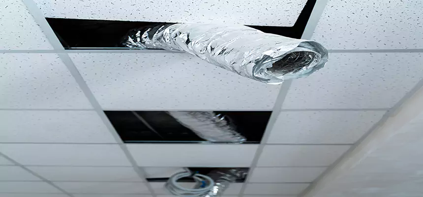 Affordable HVAC Sanitizing After Pest Removal in Great Falls