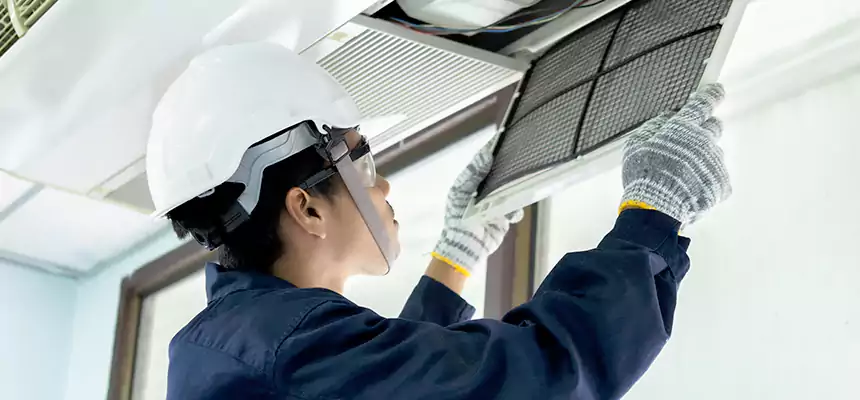 Our Mold & Mildew Removal from Air Ducts Services in Great Falls, VA