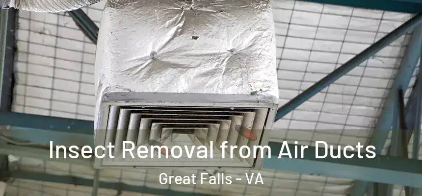  Insect Removal from Air Ducts Great Falls - VA