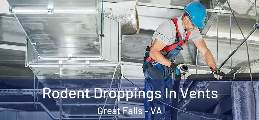  Rodent Droppings In Vents Great Falls - VA