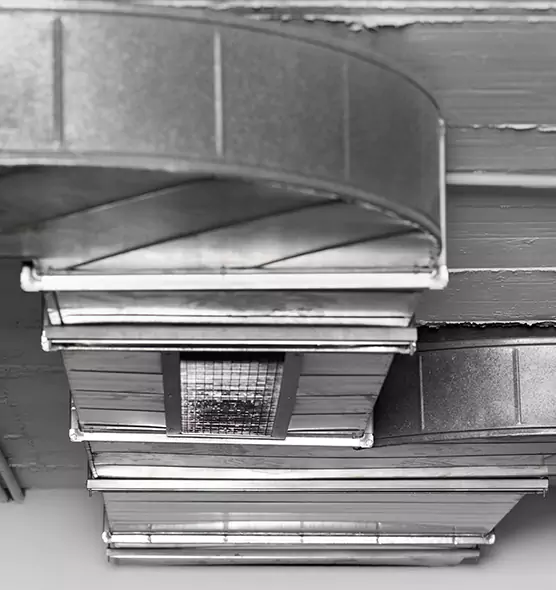 Professional Air Duct Pet Hair Removal in Great Falls, VA