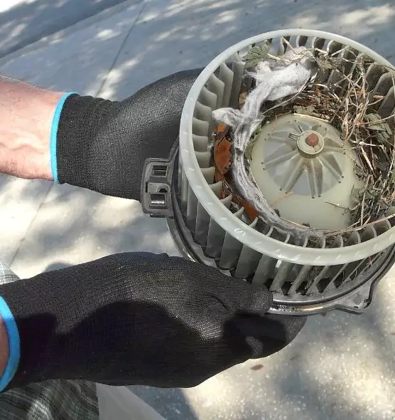 About Air Duct Rat Removal in Great Falls, VA