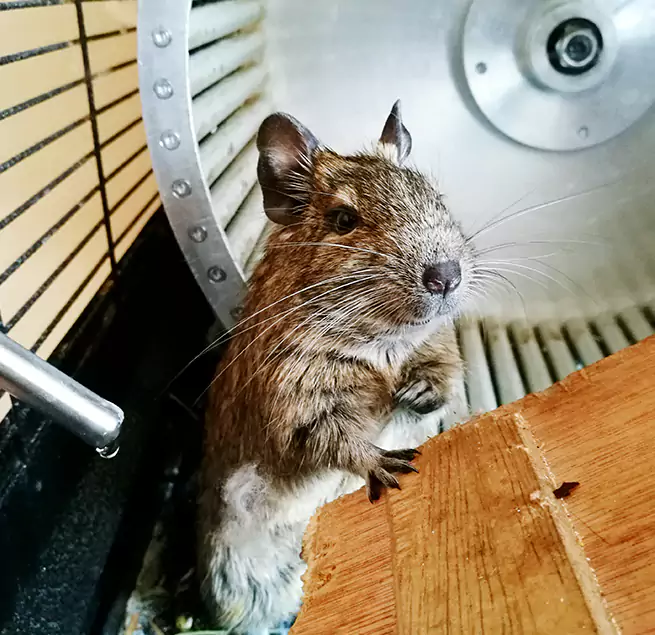 Why Homeowners & Businesses Trust Us Great Falls, VA?