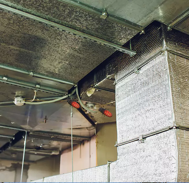 Why Homeowners & Businesses Trust Us Great Falls, VA?