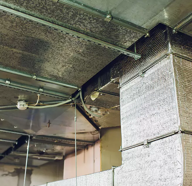 Why Homeowners & Businesses Trust Us in Great Falls, VA?